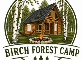 Camp Birch Forest
