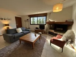 Maison spacieuse, jardin, vue montagne - 10 pers. - FR-1-883-12