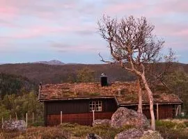 Authentic Secluded Mountain Gem in Telemark