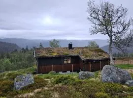 Authentic Secluded Mountain Gem in Telemark