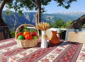 Gohar Bed and Breakfast