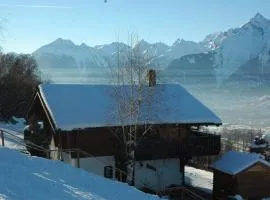 Chalet le Verger