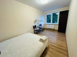 Dviviečių ir triviečių kambarių nuoma
