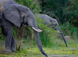 Zikomo Safari Camp