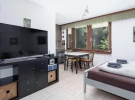 Cozy Alpine Studio in Wiriehorn with Parking