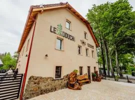 Lekkoduch