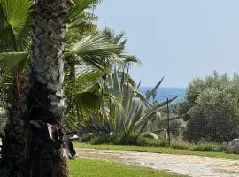 A casa di Raf