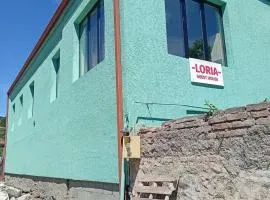 Loria's green, cozy house