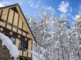 Anise Garden Lodge, Hotel in Hakuba
