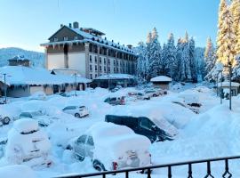 Ilgaz Mountain Hotel Resort, hotel em Ilgaz