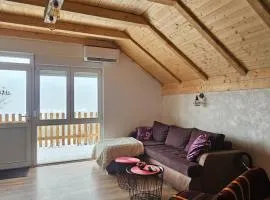Charming and cozy apartment in the mountains