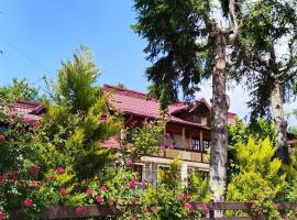 Casa de vacanta 1001 De Nopti, Hotel in Corbşori