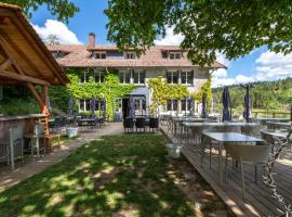 Logis Hôtel la Vigotte, hotel en Girmont-Val-dʼAjol