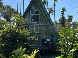 Wild Nest Resort, Wayanad