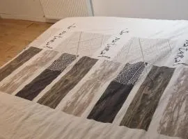 Appartement Entier ou Chambre bordeaux centre