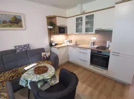 Apartmán pod svatým Hostýnem