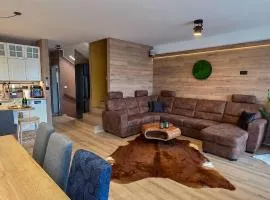 Apartmanica Chalet 1A, finnish sauna, jacuzzi, garage, Donovaly