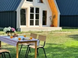 Căsuțele H - Cabana 3 A-Frame cu Ciubăr Cheile Doftanei