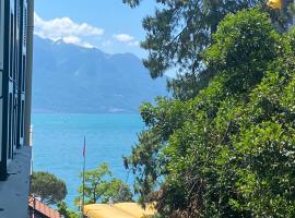 Appartement vue lac Montreux, хотел в Монтрьо