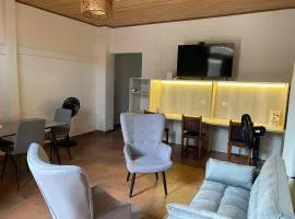 La Villa Study & Relax Apartment