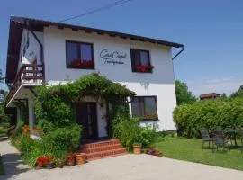 Casa Oaspeti Transfagarasan