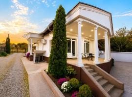 Royal Vila Negotin - Private Parking, Garden and Terrace, hotel di Negotin