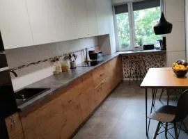 Apartament Przyjaźń