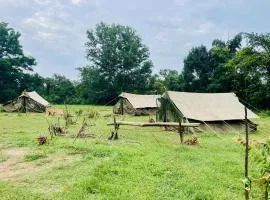Belihuloya Camping with Bambarakanda Waterfall Trekking
