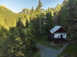 Sechszirbenhütte am Falkert 1700 m