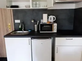 Brand New studio apartment #11 near center with FREE street parking