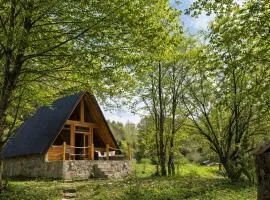Holiday Home Veruša