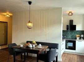 Bad Oeynhausen - City, Küche, Netflix, Wifi, zentral, StudioApartment