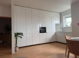 Pilsen flat