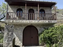 uBa Vineyard Stay con vistas al Miño Ribeira Sacra