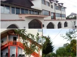 Pensiunea Selena Bascov-Pitesti