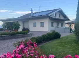 Mirtillo