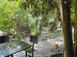 Casa Amarilla Tecámac