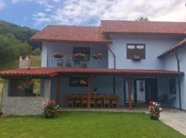 Casa Ardelean