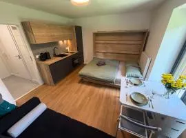 AVA apartmán Javorná na Šumavě