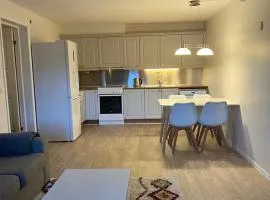 Basement apartment near the city center in Larsgården