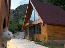 Swess house amedi