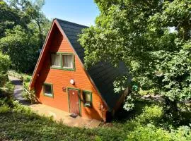 Lazy Bear Lodge with Hot Tub - Finlake Resort and Spa in Devon