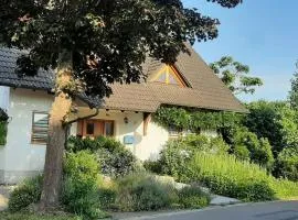 Holiday apartment in Külz with swimming pool