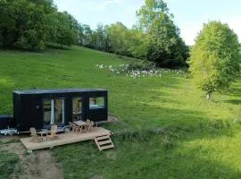 Courneillac - Parcel Tiny House - Tiny house vue Pyrénées entourée par les chèvres MAE-5233