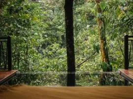 Nuakú Jungle