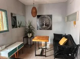 RÉSIDENCE PRIVÉE 1 Chambre avec Salon, Cuisine Équipée, Climatisation, Wifi et Cour Individuelle
