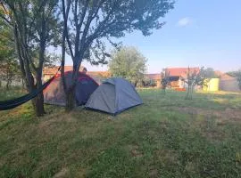 The Nest Festival Camping