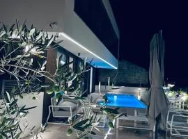 Premium Villa with pool Rovinjsko selo