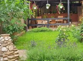 Beautiful guest house close to mud bath treatment, Baicoi
