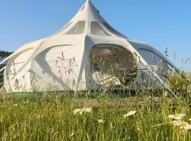 LA TENTE LOTUS - séjour insolite à la ferme - nuit sous les étoiles
